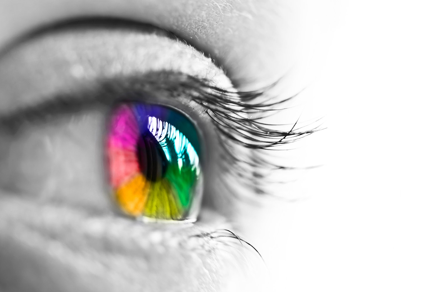 vision